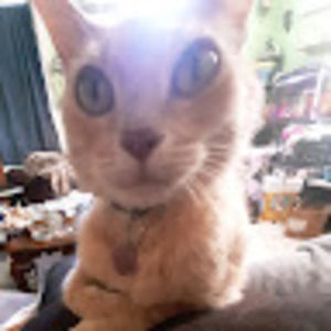 Meet your Posher, Georgette